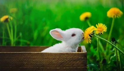 河北五超·微视频丨烽烟再起！“河北五超”将开启第四轮对决